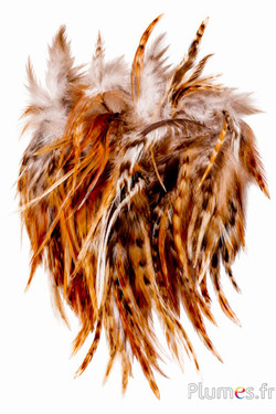 Haan - 8-12 cm - gemengde natuur